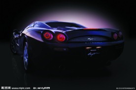 日本光冈大蛇背影