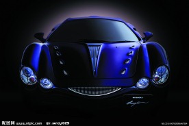 日本光冈大蛇正面图