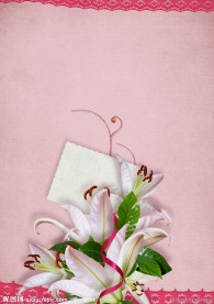 春兰花卡