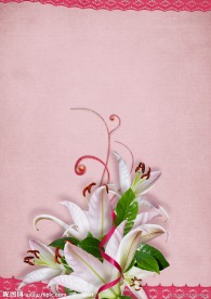 春兰花卡