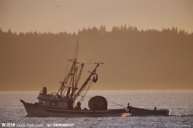 海洋捕捞