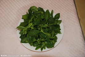 田七