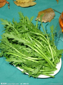 茼蒿