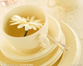 茶杯