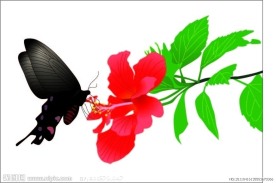 路边的野花