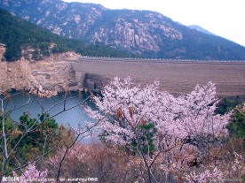 青岛崂山风景