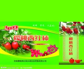 樱桃小西红柿包装