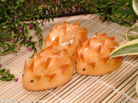 榴莲小箭猪