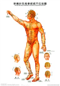 针灸推拿经络穴位图