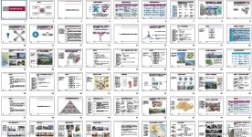 世联 地产深圳深业风临左岸销售总结