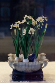 青玉菊瓣式盆水仙盆景