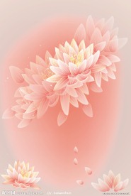 移门荷花