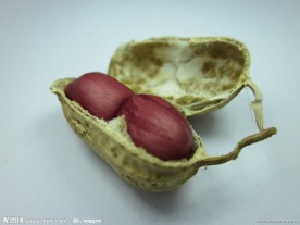 红皮花生