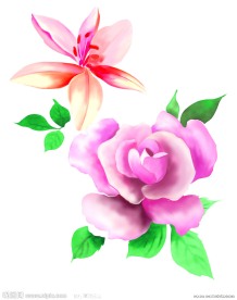玫瑰花