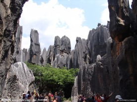 云南石林之旅