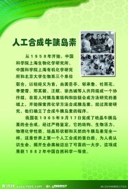 科学展板