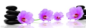 花卉无框画