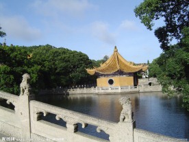 普陀美景