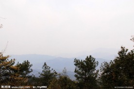 青山绿树