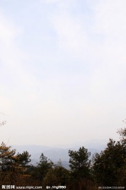 青山绿树