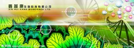 绿色背景图片