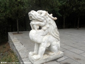 石龙