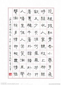 钢笔隶书苏东坡蝶恋花