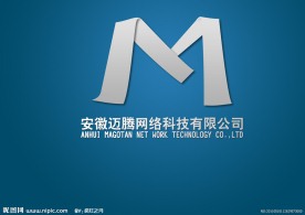安徽迈腾网络科技有限公司logo方案