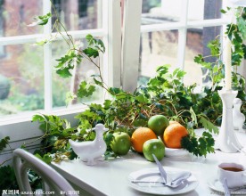 室内摄影 室内设计