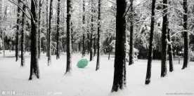 冬天雪景