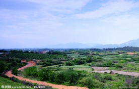 乡村小路