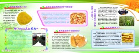 食品安全展板