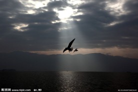 琼海