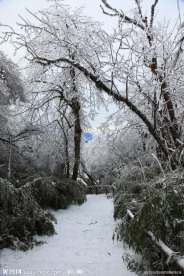 峨眉雪