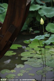 轱辘与荷