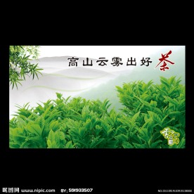茶文化 图片