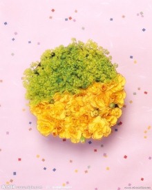 百花争艳