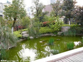 水景