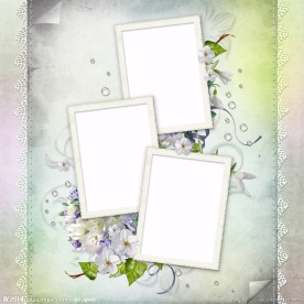 花纹花边相框鲜花