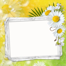 牛皮纸相框边框鲜花