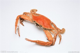 螃蟹