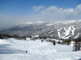 雪原