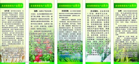 农产品 展架