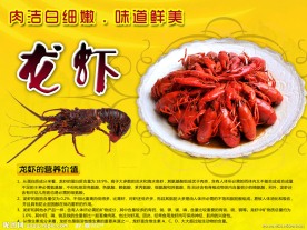 龙虾海报