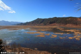 草海