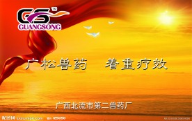 企业形象 展板