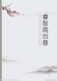 睿智阁创意广告画册封面