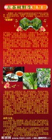 茶茸
