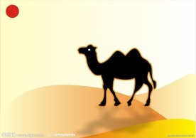 骆驼 沙漠 模板
