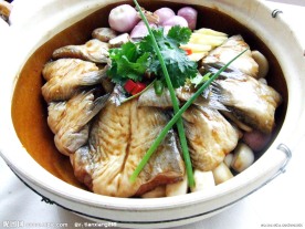 砂锅鮰鱼翅